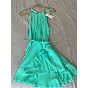 NEVER WORN Naked Zebra Seafoam Green Dress